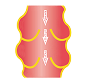 VitaCardio